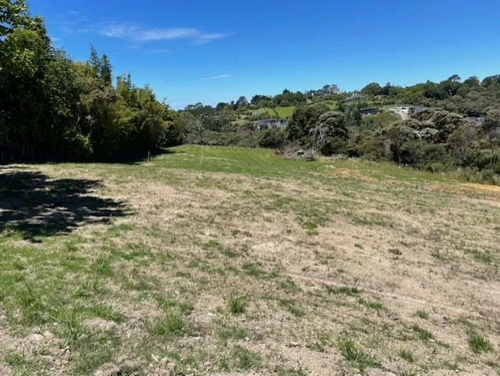 Okura New Price Alert - Premium Land!