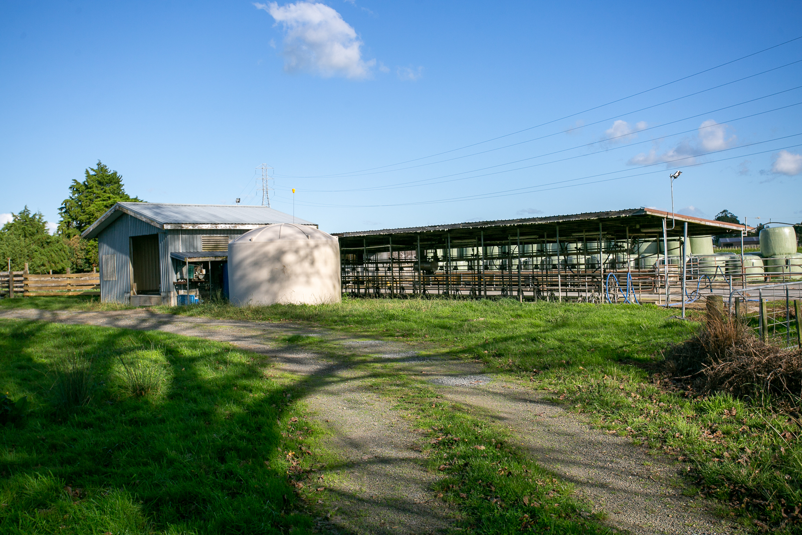 378 Victoria Road, Pukemoremore, Waipa, 0房, 0浴, Grazing