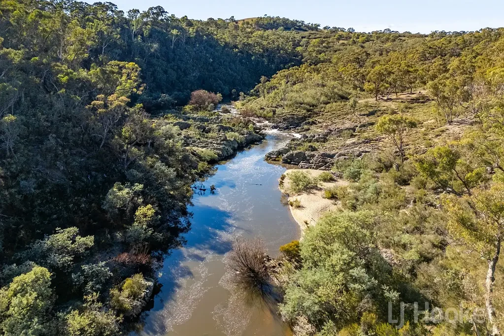 Urila  "RIVERBANK"- Hidden in Plain Sight