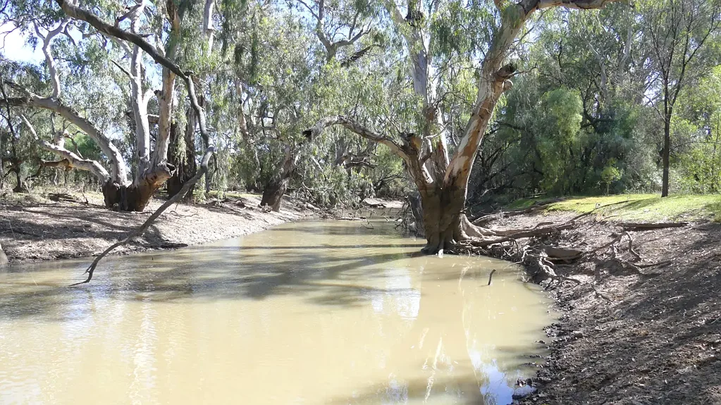 Warren  Lower Macquarie Grazing Country