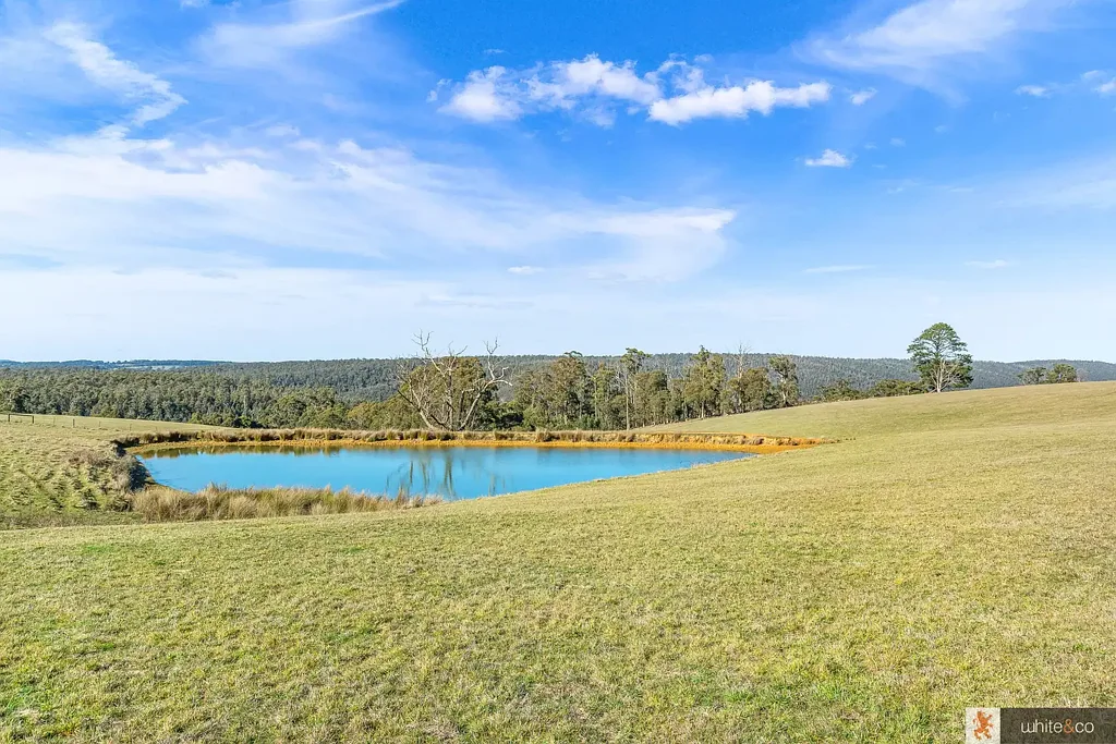 Kinglake West Rare large acreage - Views & Improved pasture