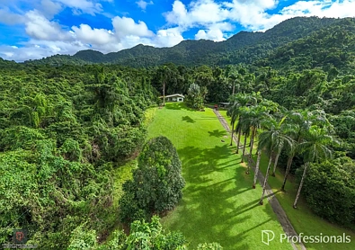 Babinda 3房  A Safe Haven away from City pressures