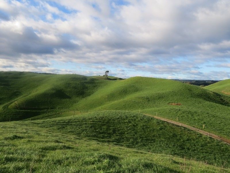 515 Matarawa Road, Kinleith, South Waikato, 3 Bedrooms, 0 Bathrooms