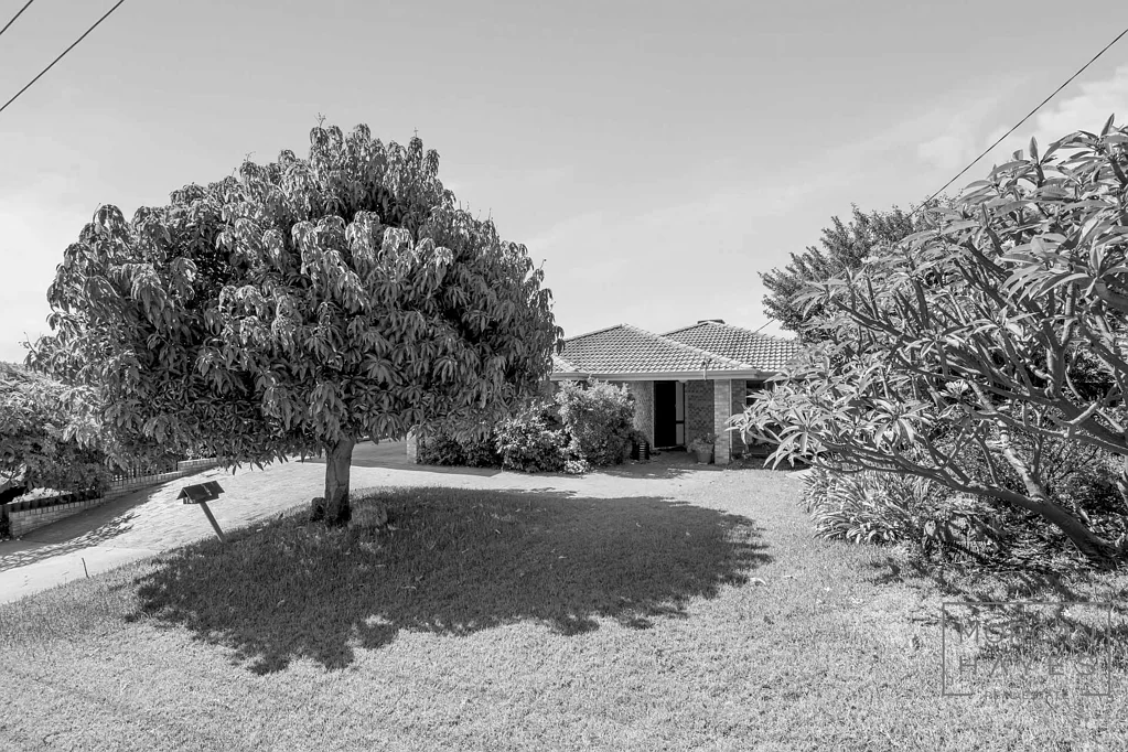 Willetton 4 Bedroom Move in Ready Willetton Family Home!