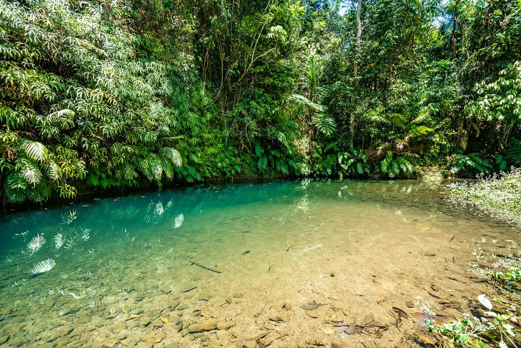 Japoonvale  Private Cattle Property with permanent Creeks, Water Licences of 720 ML, Home, Sheds and Yards