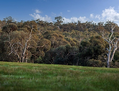 LOT 632 Malvi Close, Lower Chittering, Swan, 0 Kuwarto, 0 Banyo, Section