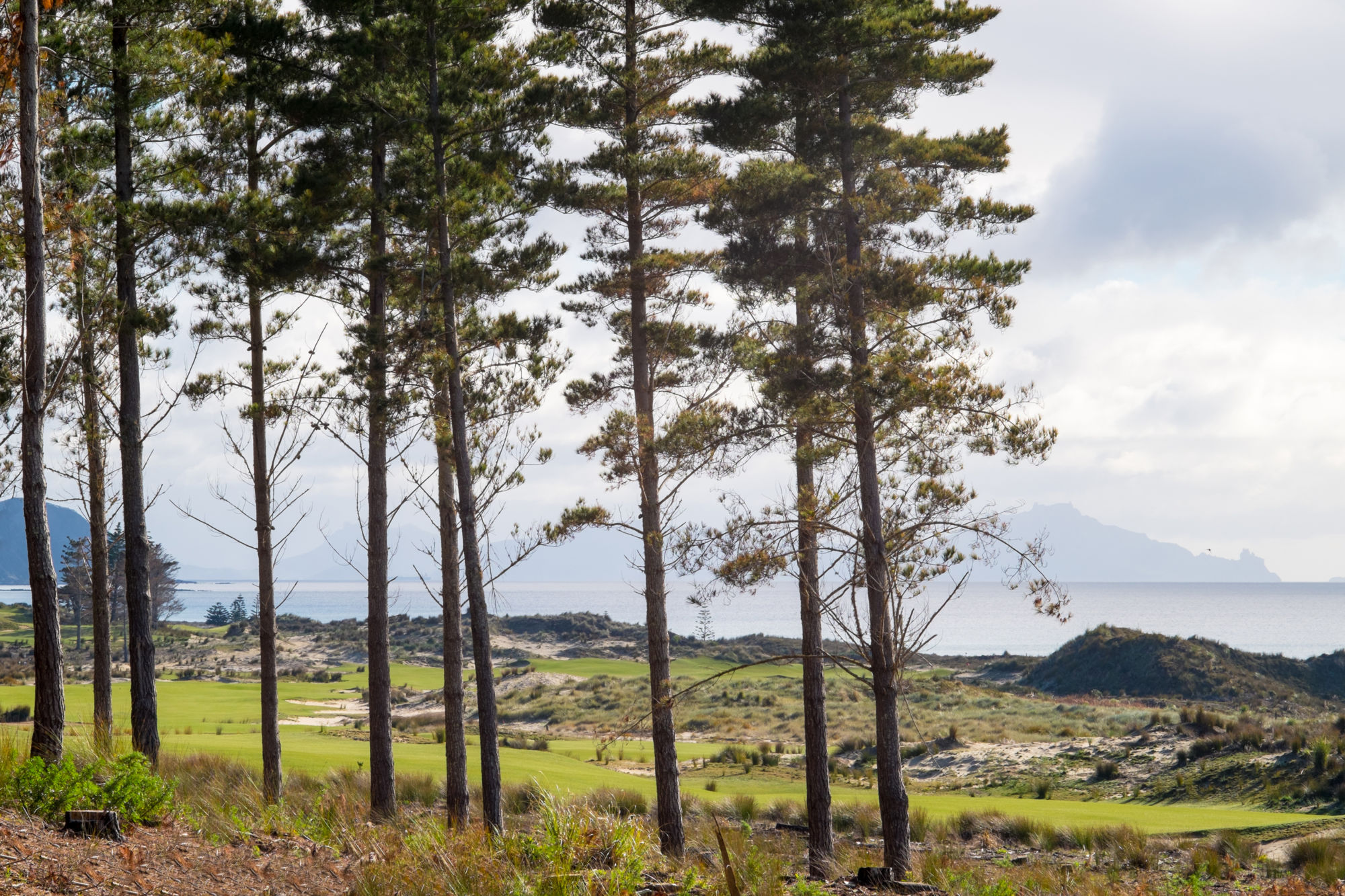 140 Pacific Road, Mangawhai, Kaipara, 0房, 0浴