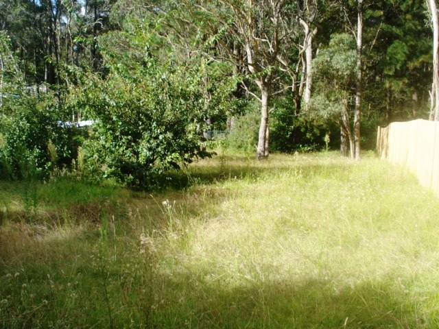 341 GREAT WESTERN HWY, BLACKHEATH NSW 2785, 0 chambres, 0 salles de bain, Section