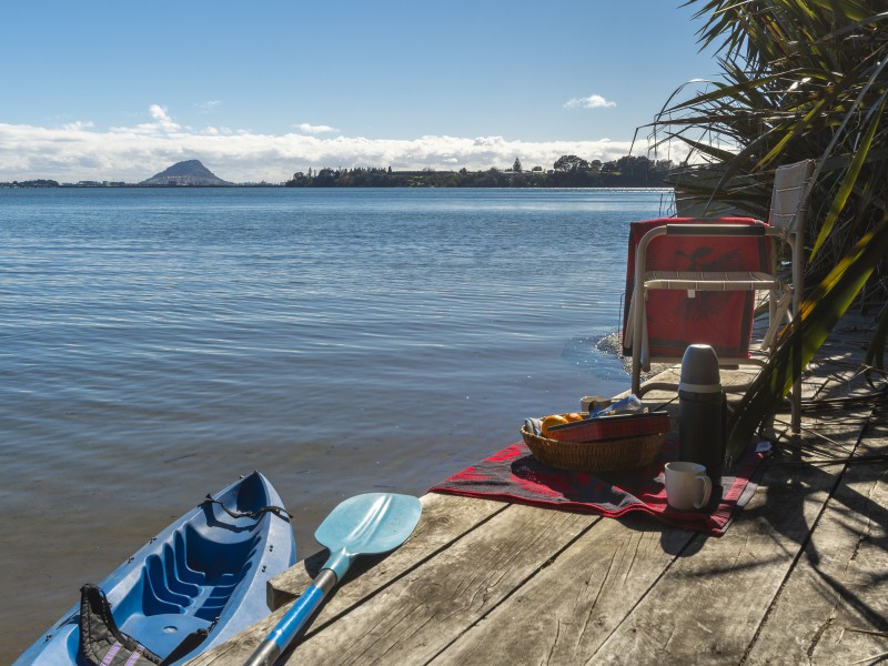 370 Maungatapu Road, Maungatapu, Tauranga, 5房, 2浴