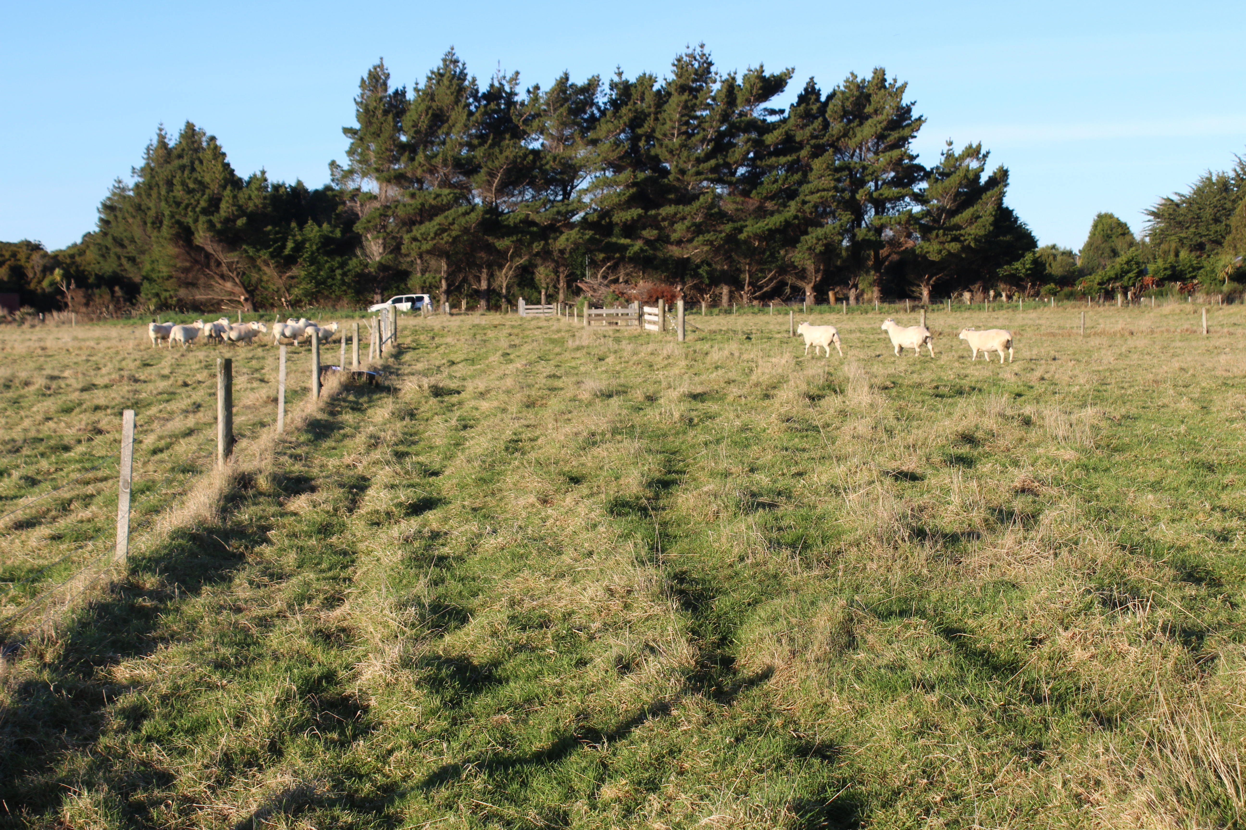 94 Watt Road, Otatara, Invercargill, 5 rūma, 0 rūma horoi