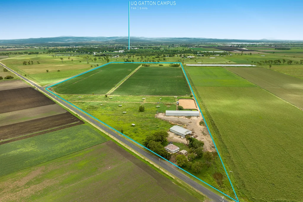 College View Cropping and Equine Perfection – Blue Ribbon Locale