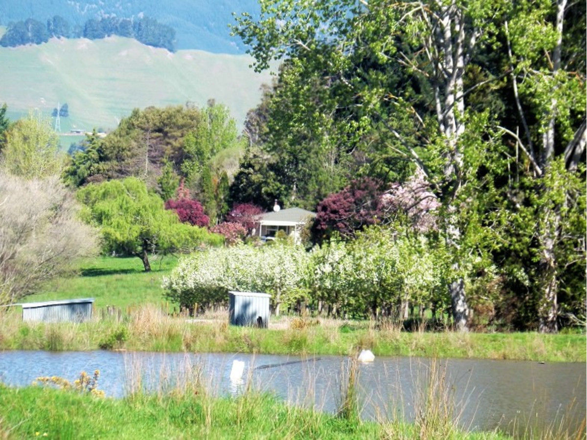 130 Teapot Valley Road, Brightwater, Tasman, 2 habitaciones, 2 baños