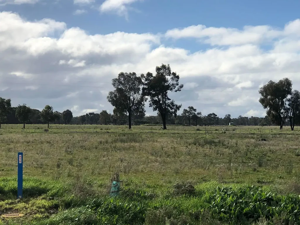 Mulwala 23 Adam Close - 4101m2