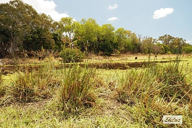222 Edmistone Road, Pink Lily, QLD 4702, 0房, 0浴, Lifestyle Property