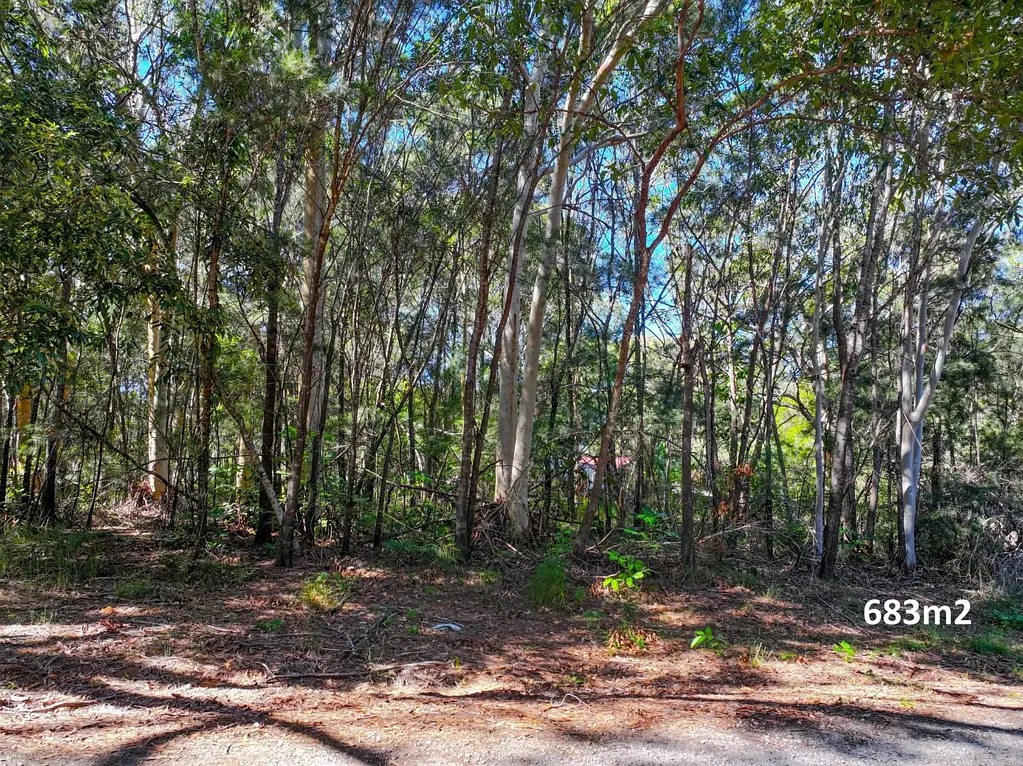 Russell Island Priced to Sell 683m2 at Just $65,000