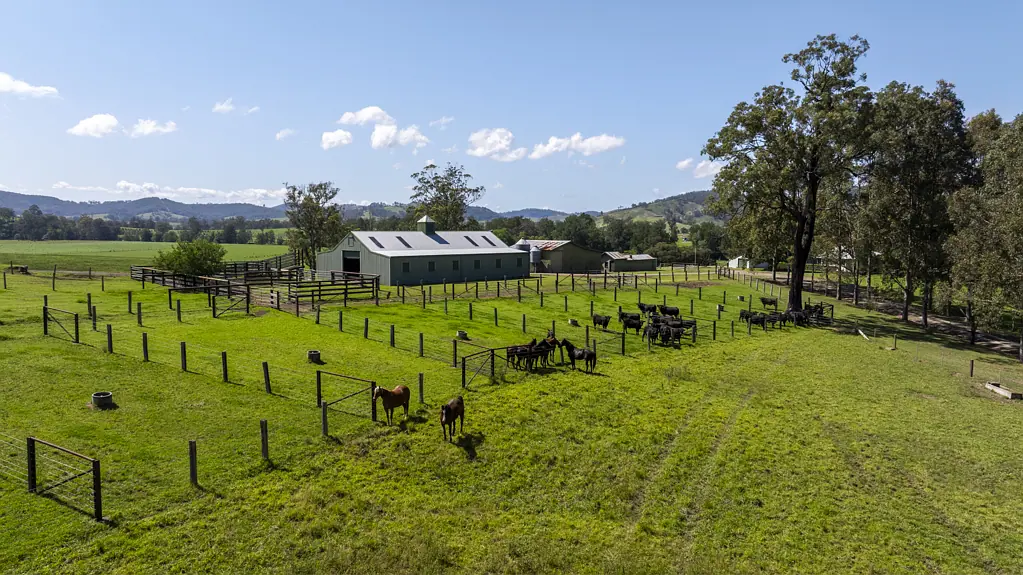 330 Fosterton Road, Dungog, NSW 2420