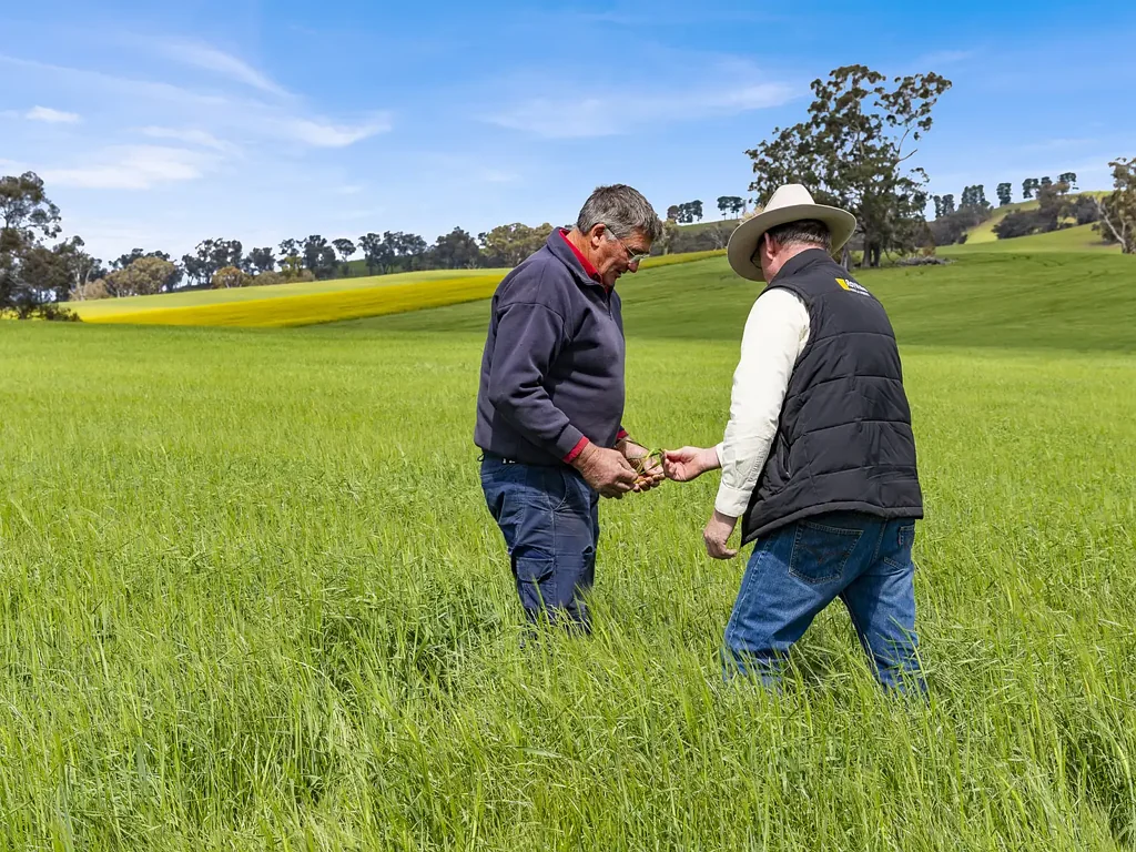 Part/2056 & 2154 Benalla-Yarrawona Road, Bungeet West, VIC 3726