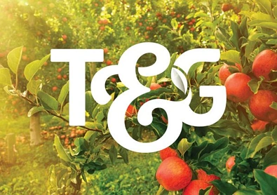 水果销售商T&G 上半财年利润保障近9成