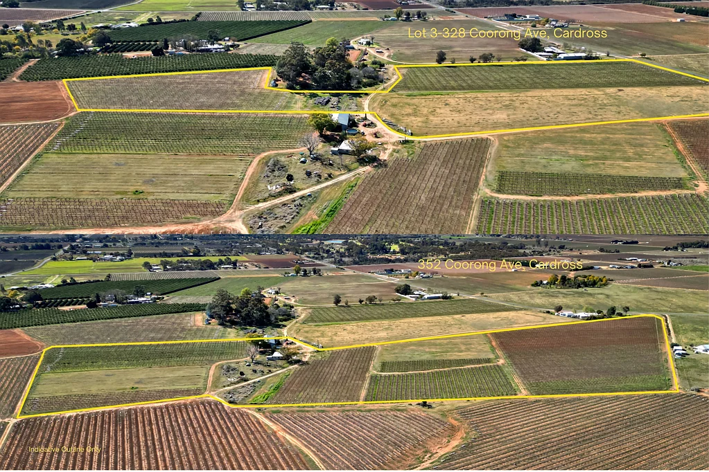 Red Cliffs  Huge Price Reduction  -  2 Vineyards side by side