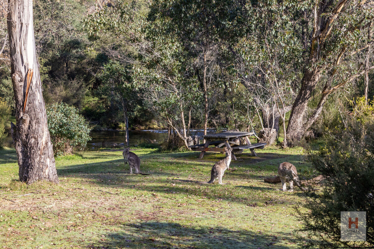 9 SCOTT ST, KHANCOBAN NSW 2642, 0部屋, 0バスルーム, Section