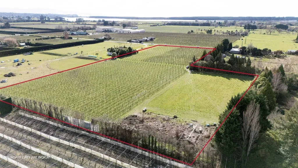 Redwood Valley  Four hectares of flat land, endless possibilities