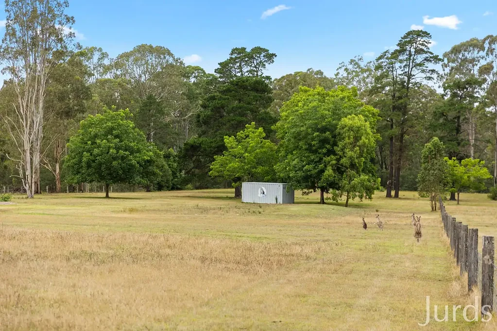 Sawyers Gully  As Rare as Hen’s Teeth