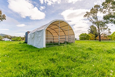 54 Studholme Settlement Road, Waimate, 0 침실, 0 욕실, Lifestyle Section