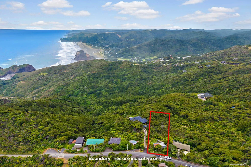 Piha  Rare As Hen’s Teeth!!! Must Be Sold!