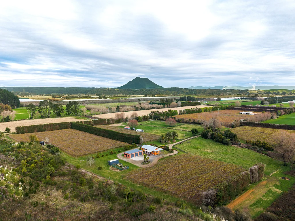 Te Teko  Lifestyle living with kiwifruit returns