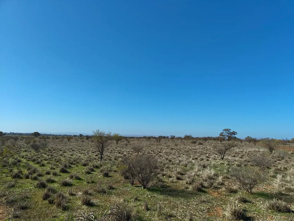 Wilmington Rural Living | 12.04 Hectares | Peaceful Countryside Setting