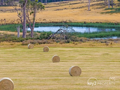 282 Winkleigh Road, Exeter, TAS 7275, 0 Bedrooms, 0 Bathrooms, Section