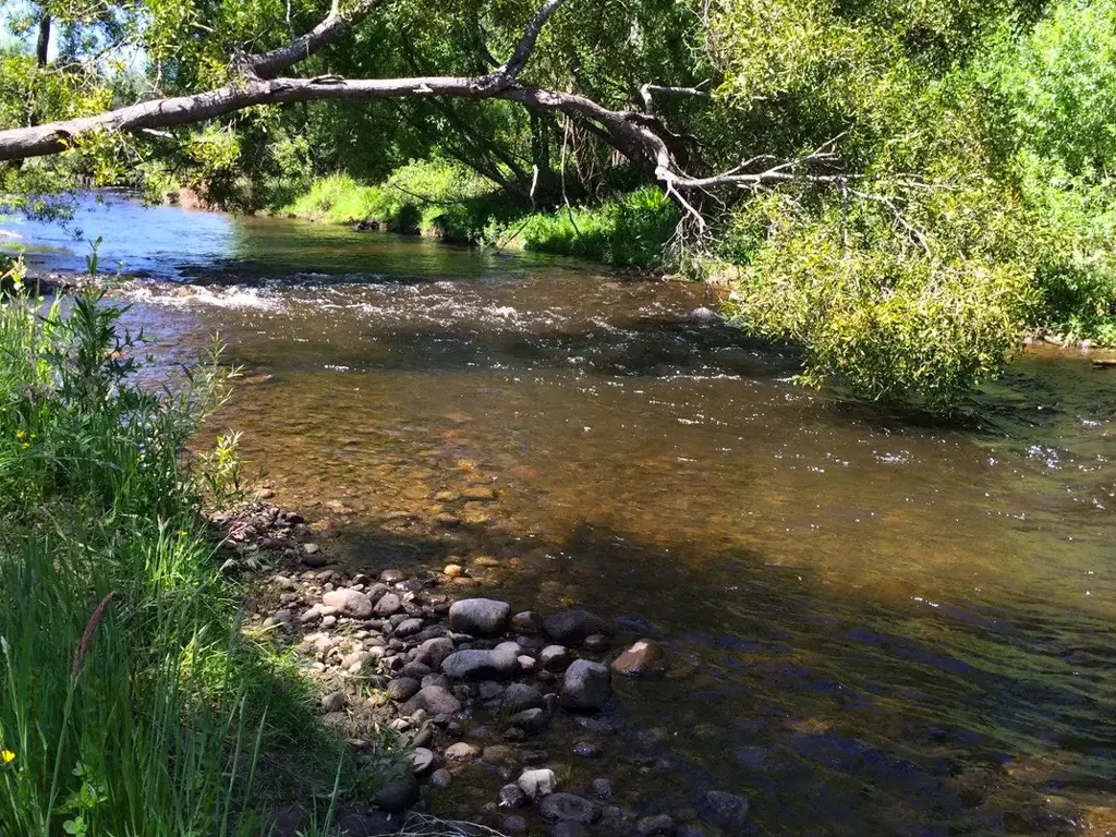 Thornton Rare Riverfront Property on the Rubicon River