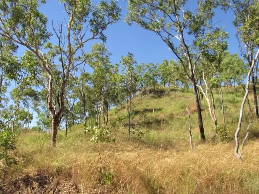 Adelaide River Land and Established properties in the Adelaide River Area