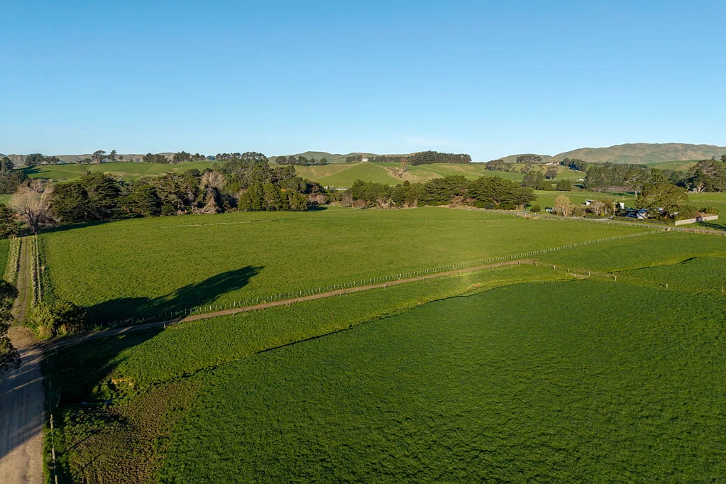 Eketahuna Flat land, easy living