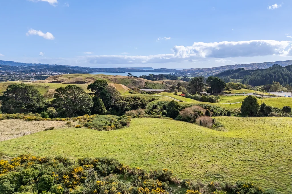 7 Margarita Grove, Pauatahanui, Porirua, Wellington