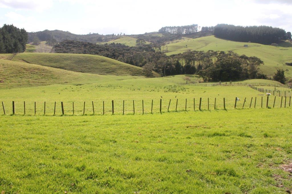 100 Upper Orewa Road, Wainui, Auckland - Rodney, 4 habitaciones, 0 baños