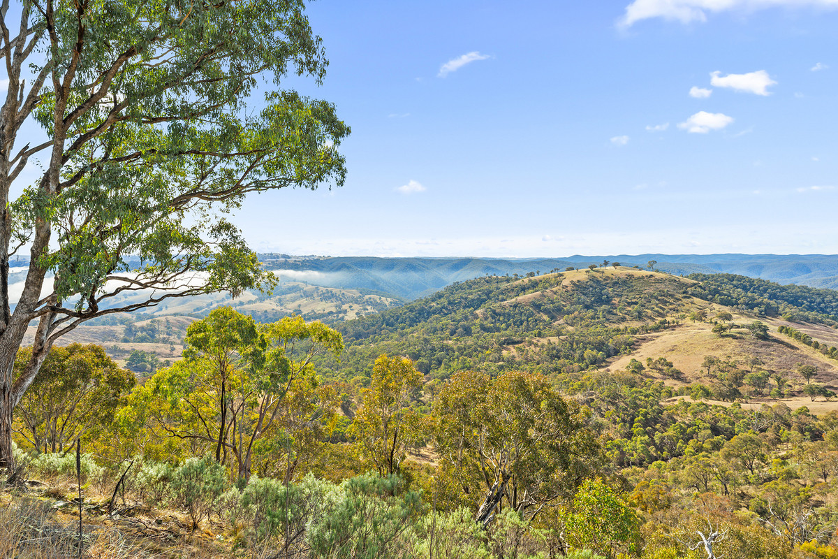 261 HADLEY WAY, FULLERTON NSW 2583, 0 Bedrooms, 0 Bathrooms, Lifestyle Property