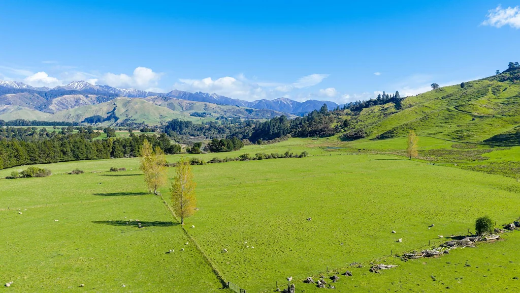 Ongaonga  Highlands - 1139 Blackburn Road, Ongaonga