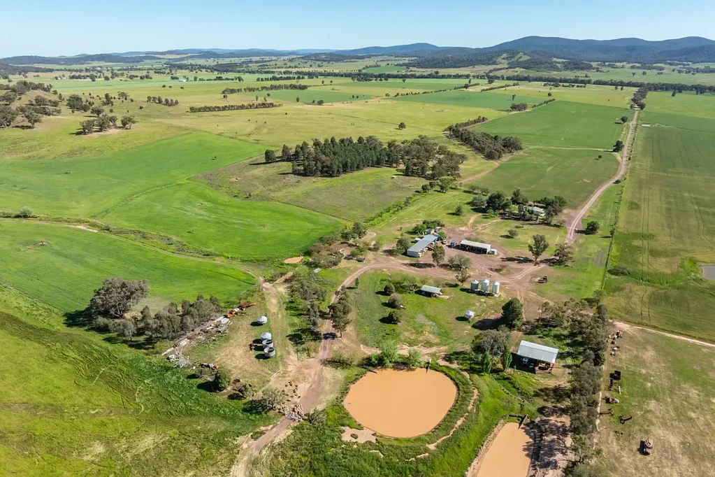 Canowindra 650ACRES* OF HIGH QUALITY MIXED FARMING & FATTENING COUNTRY