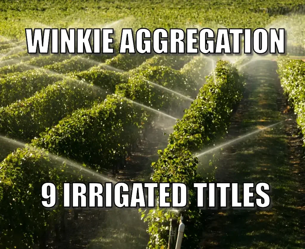 Winkie 9 IRRIGATED TITLES - FOR SALE BY ONLINE AUCTION