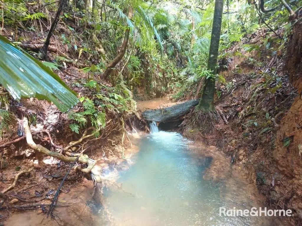 Daintree Enchanting Rainforest Block - 3.1 acres