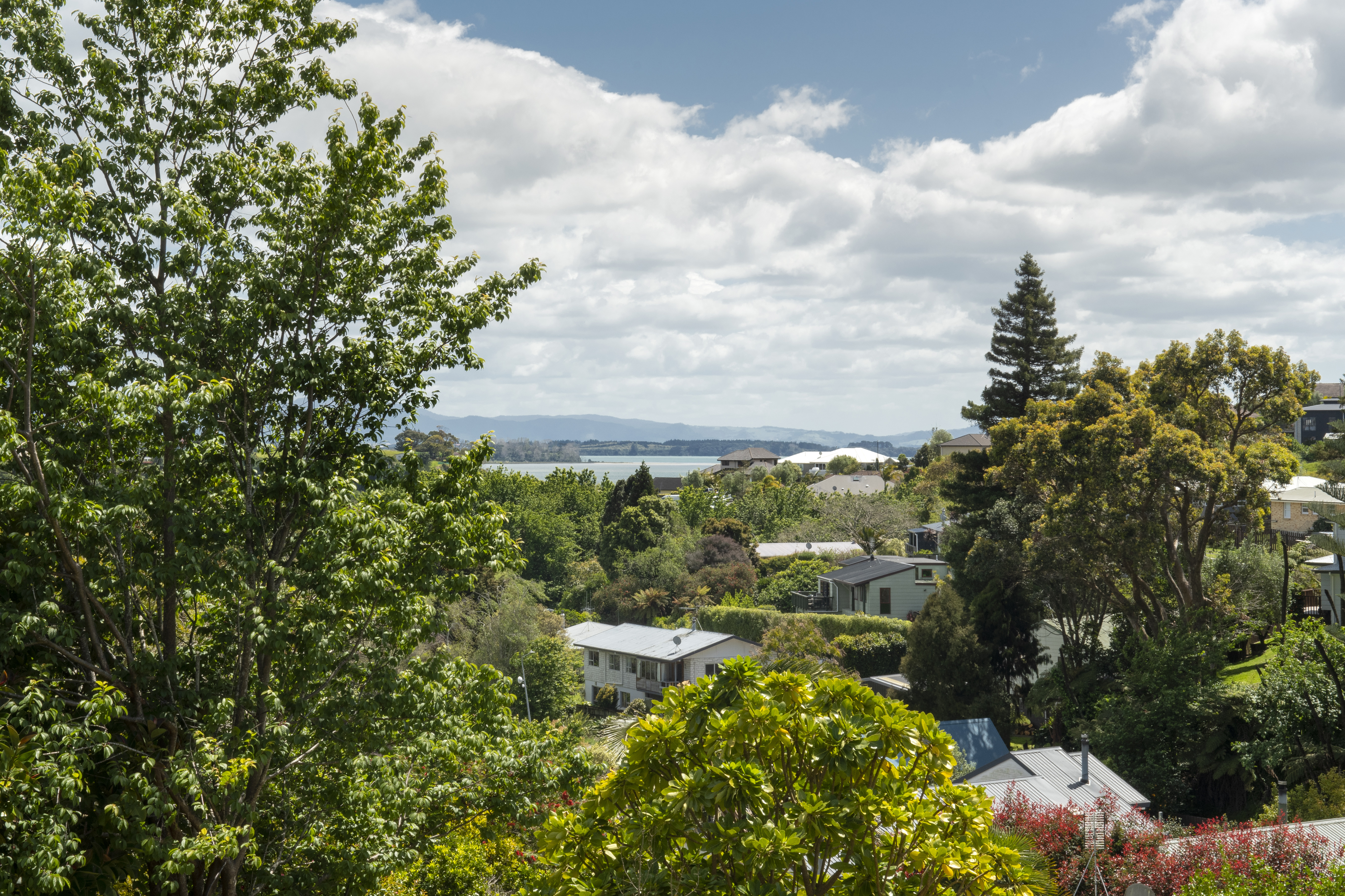 21 Eventide Way, Bellevue, Tauranga, 3 ਕਮਰੇ, 0 ਬਾਥਰੂਮ, Section