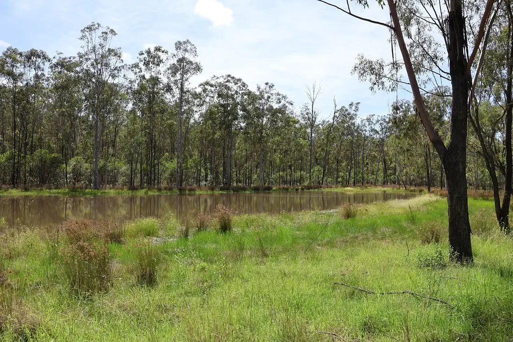 Mundubbera  Auction - Quality Grazing Country - 30 Mins Mundubbera