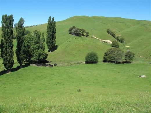 802 Scotsman Valley Road, Tauwhare, Waikato, 0 habitaciones, 0 baños