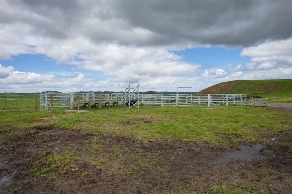 81 Key Road, Kinleith, South Waikato, 0 rūma, 1 rūma horoi