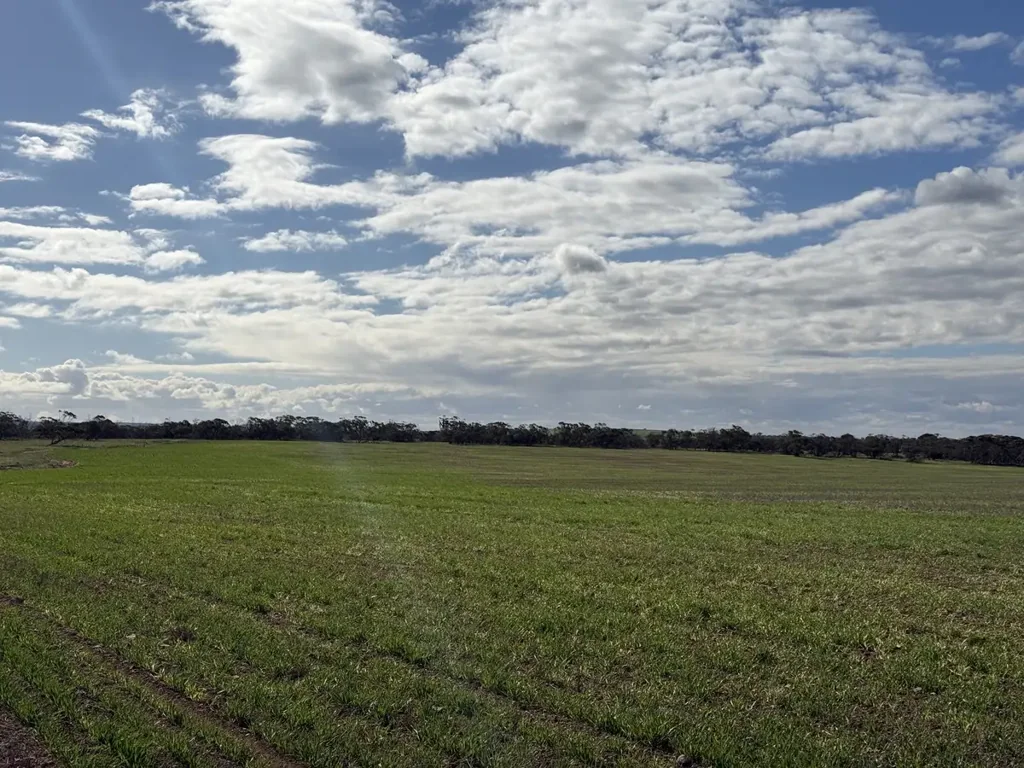 Neales Flat  Scale Up in Proven Farming Country
