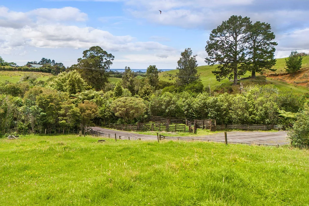 Katikati Rare As Hens Teeth!