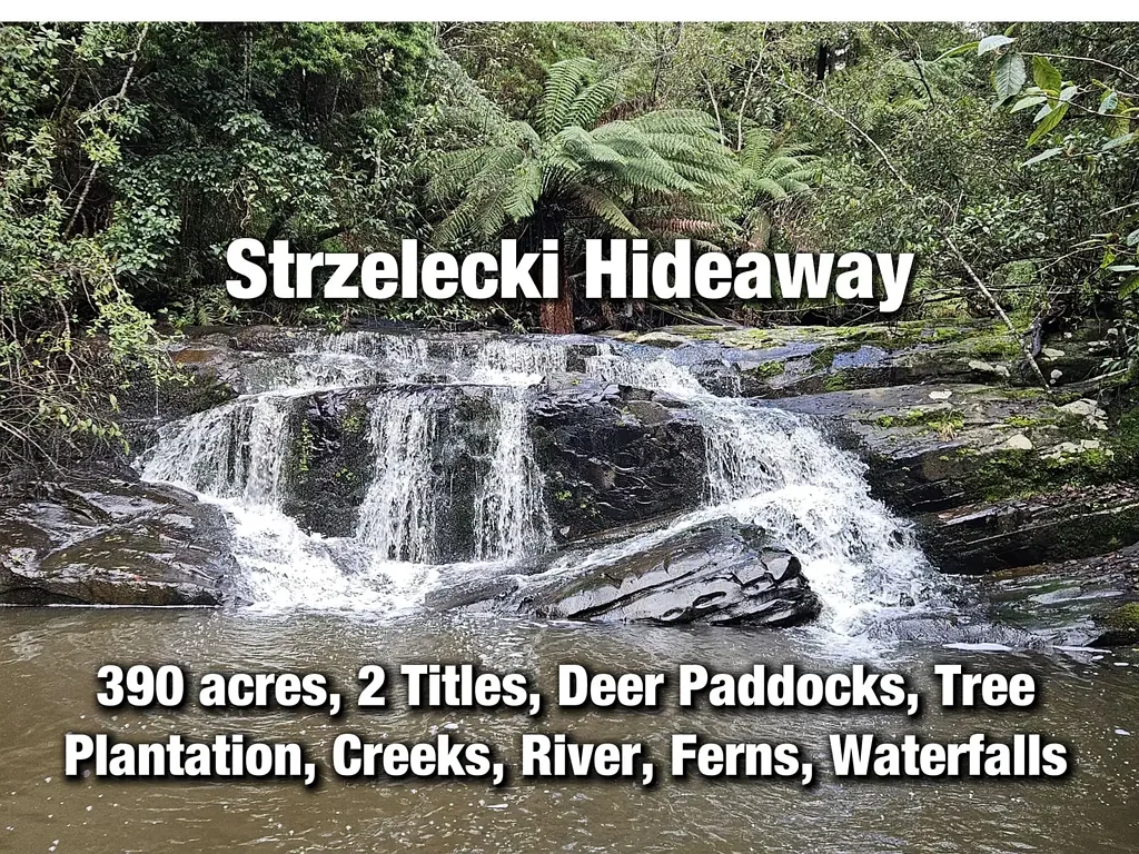 Grand Ridge 390 acres, House, Pasture, Deer, Ferns, Waterfalls...