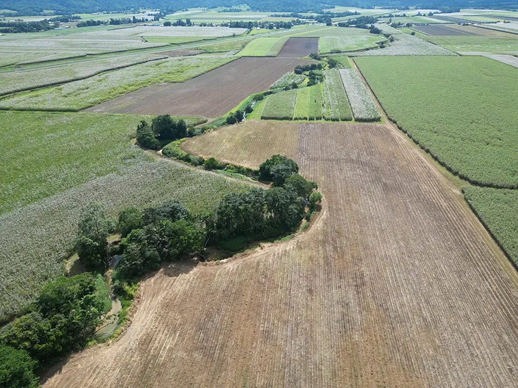 Midgenoo Creeks, Cane and Lifestyle