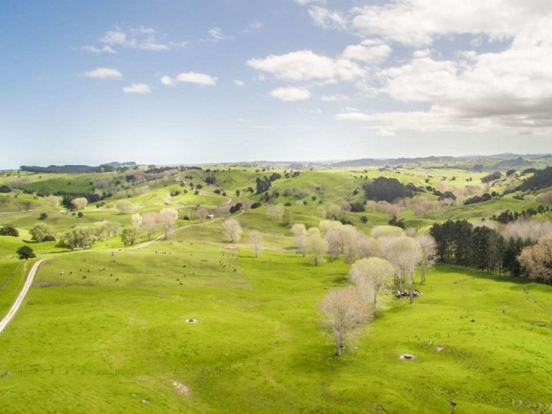 171 Girls High School Road, Tangiteroria, Kaipara, 0 habitaciones, 0 baños